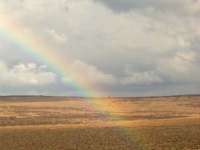 aa-rainbow